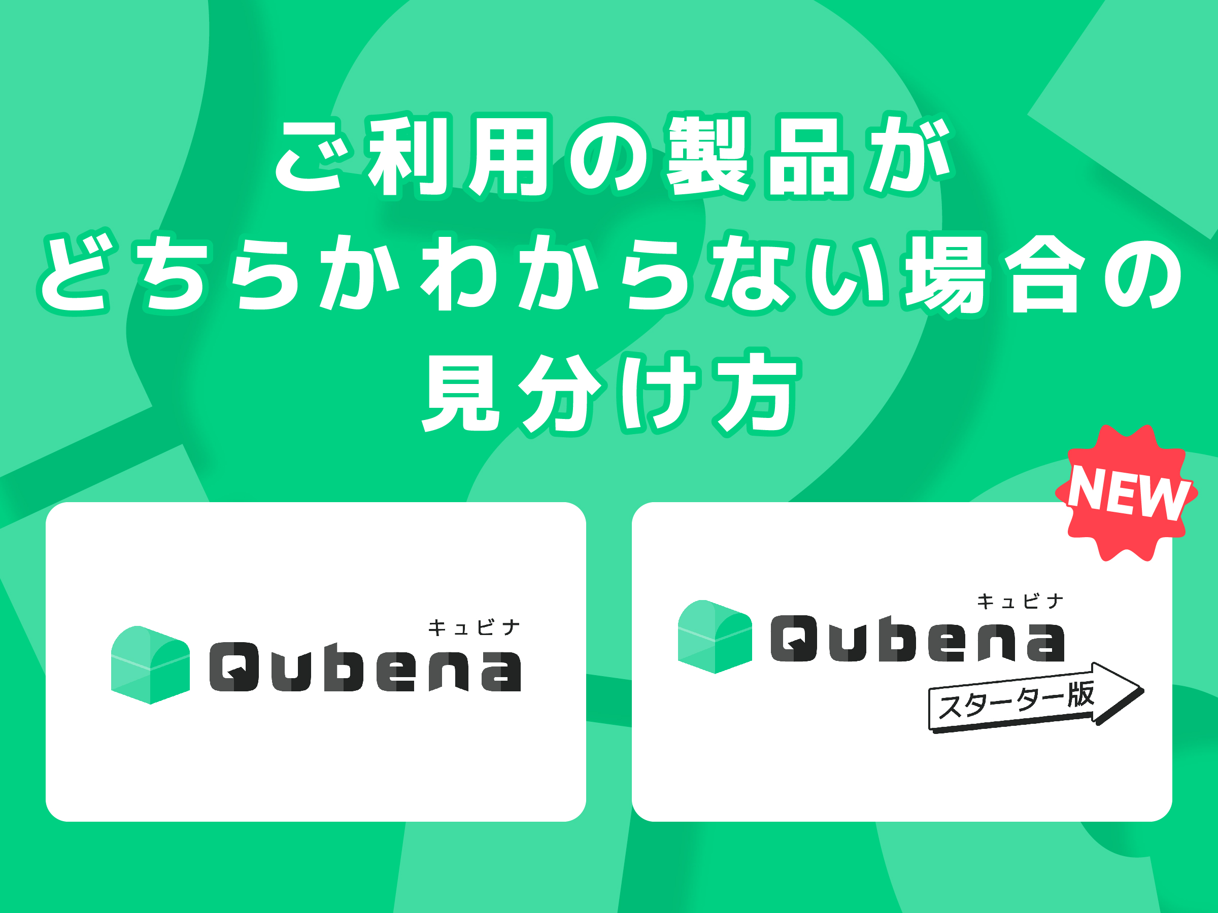 「キュビナ」と「キュビナ スターター版」の2つの製品の活用情報をお届けします